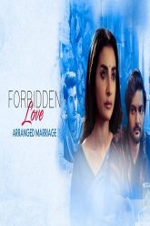 forbidden love (2020) Movie Poster